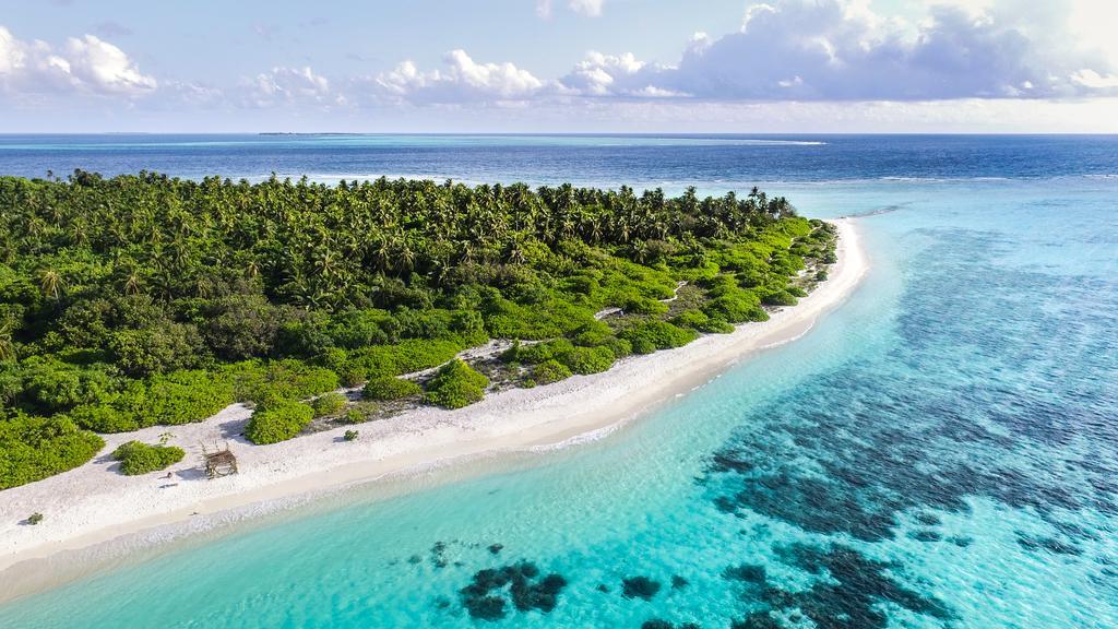 Villa Rosa Maldives Feridhoo Dış mekan fotoğraf