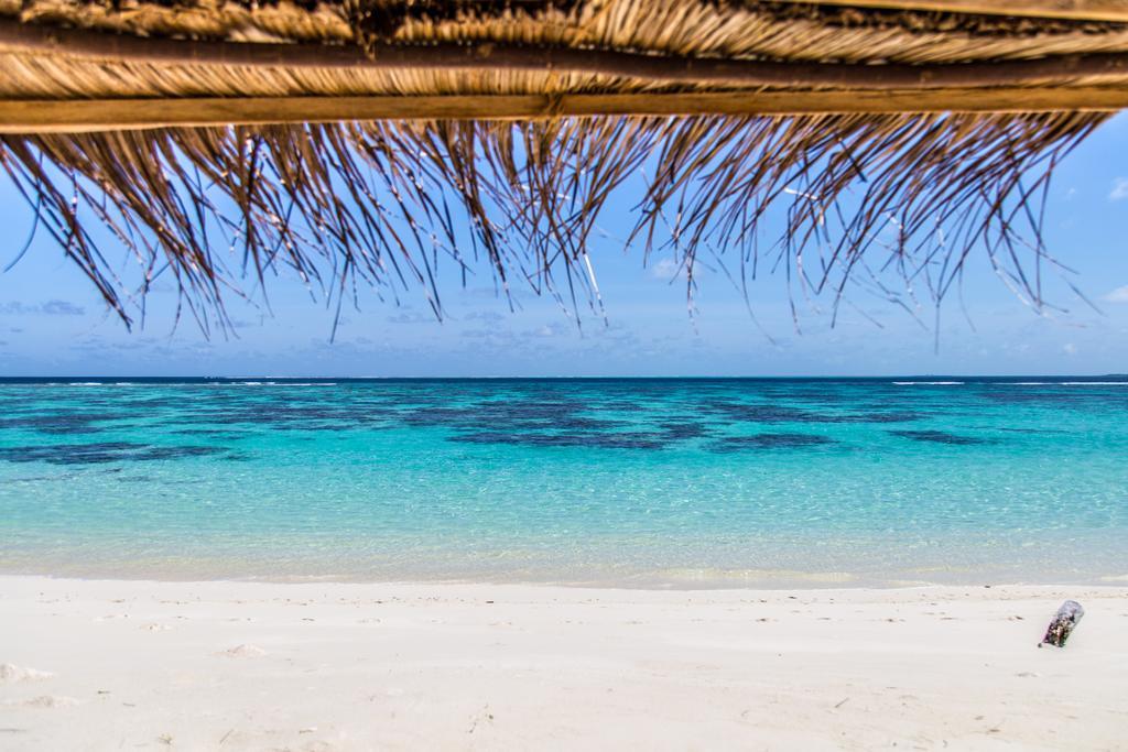 Villa Rosa Maldives Feridhoo Dış mekan fotoğraf