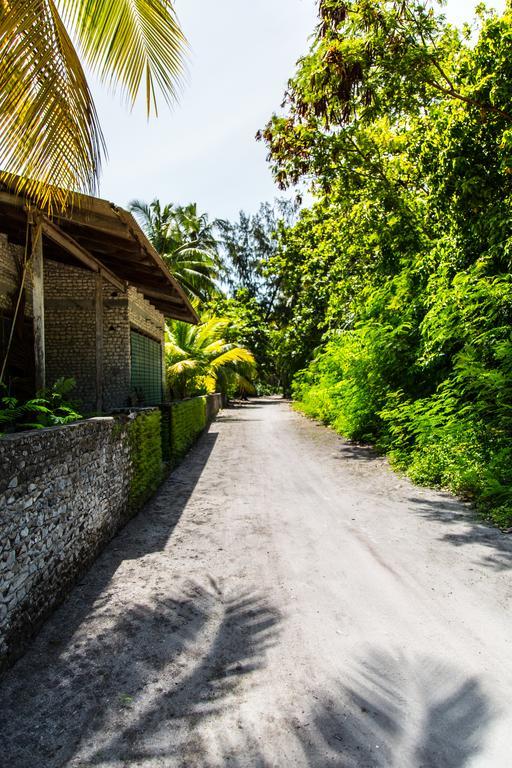Villa Rosa Maldives Feridhoo Dış mekan fotoğraf