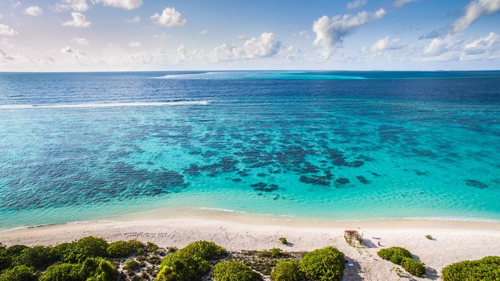 Villa Rosa Maldives Feridhoo Dış mekan fotoğraf
