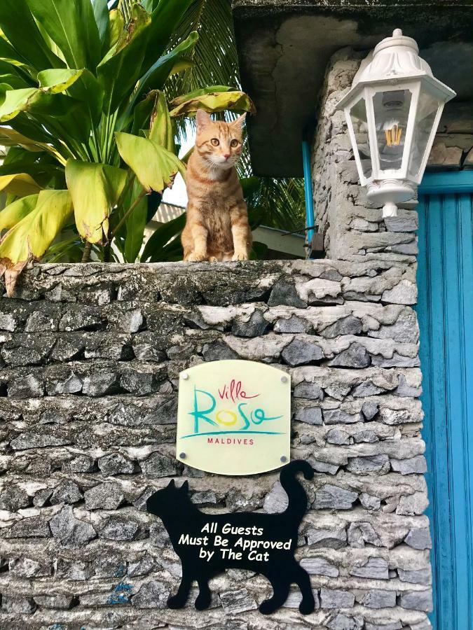 Villa Rosa Maldives Feridhoo Dış mekan fotoğraf